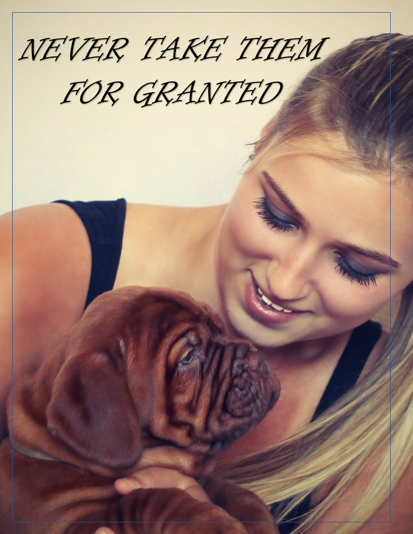 Poster 4
