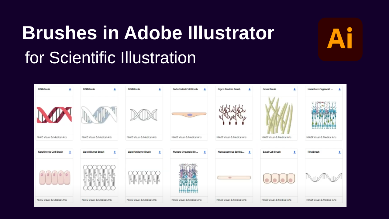 Adobe Illustrator Brushes for Scientific Illustrations